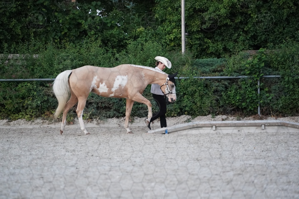 s_A9_05448.jpg